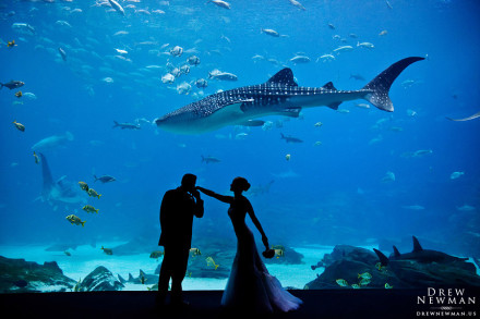 Georgia Aquarium Wedding